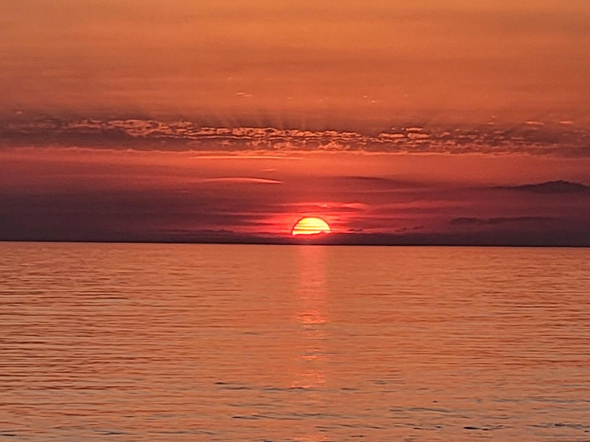 Villa Amore Radini Istrian Romantic Studio With Private Parking And Terrace بروتونيغلا المظهر الخارجي الصورة