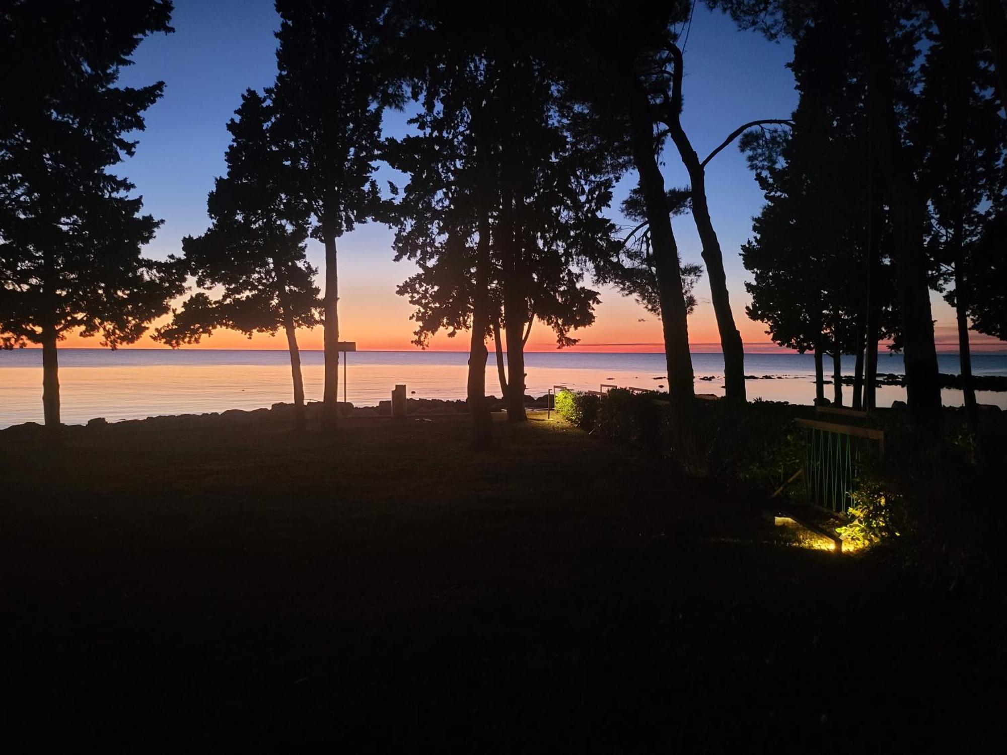 Villa Amore Radini Istrian Romantic Studio With Private Parking And Terrace بروتونيغلا المظهر الخارجي الصورة